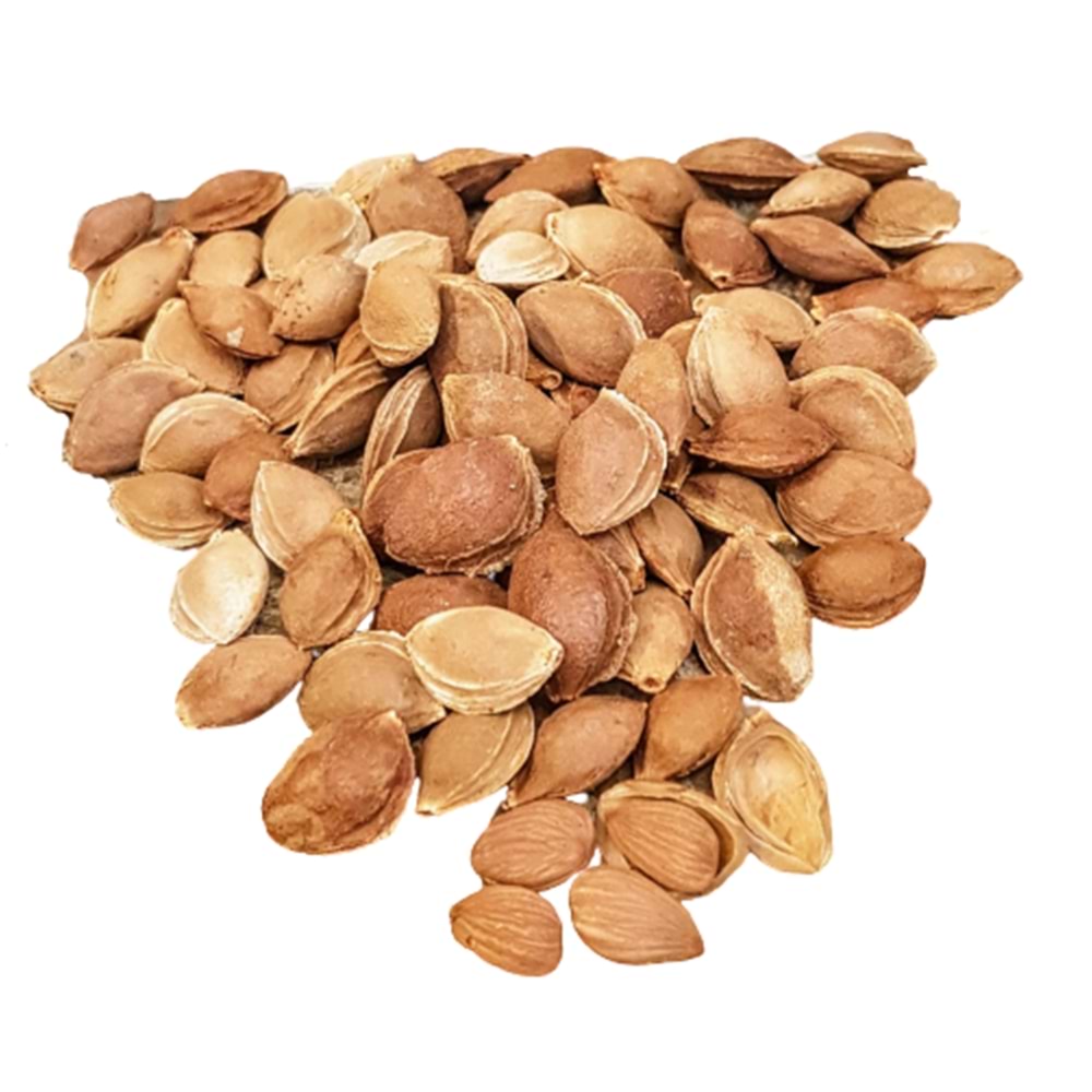 Kabuklu Acı Kayısı Çekirdeği (Kg)